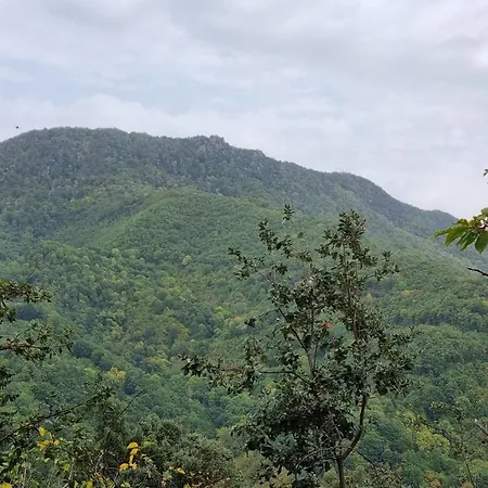 Ca La Pauleta Villa Sant Hilari Sacalm Buitenkant foto