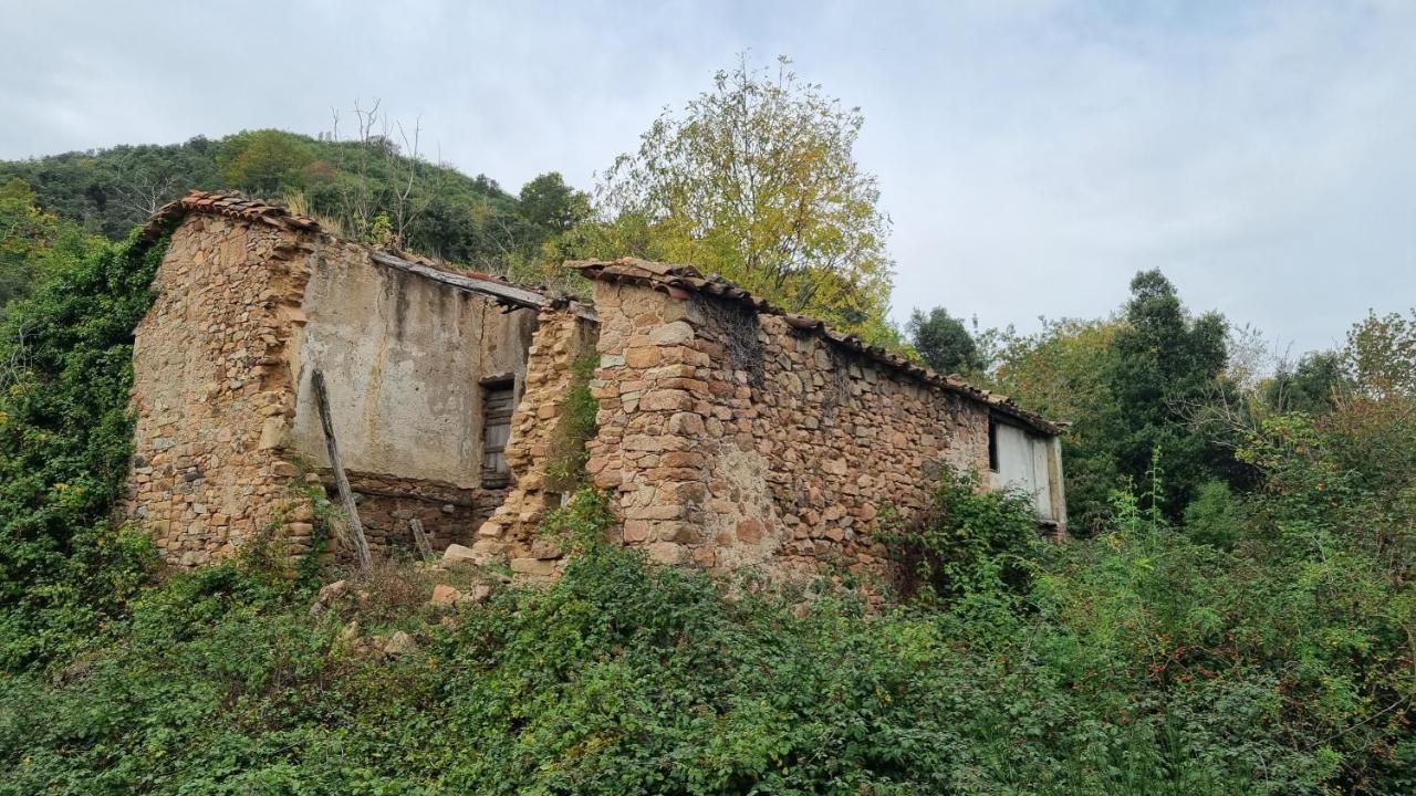 Ca La Pauleta Ferienhaus Sant Hilari Sacalm